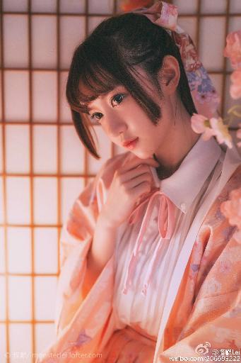 俄罗斯引擎YANDEX进入