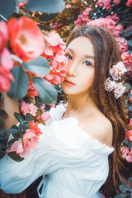 人民的名义全集免费播放在线观看