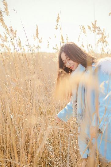 爱情公寓3在线观看免费高清完整版